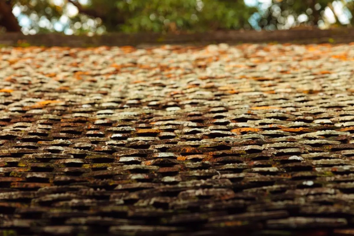 Roof Coatings & Sealing in Fort Collins, CO